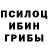Галлюциногенные грибы ЛСД Gabi Bermudez