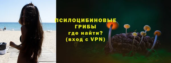дурь Белокуриха