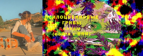 дурь Белокуриха