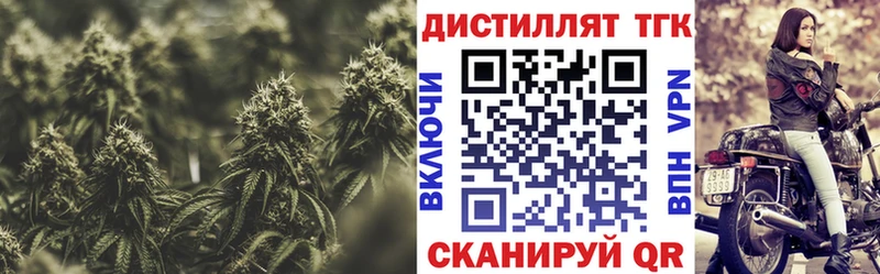Купить закладки  Порхов  Дистиллят ТГК концентрат 